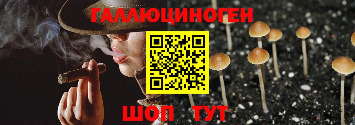 Белореченск  купить наркотик  Вход с VPN  Псилоцибиновые грибы Magic Shrooms 